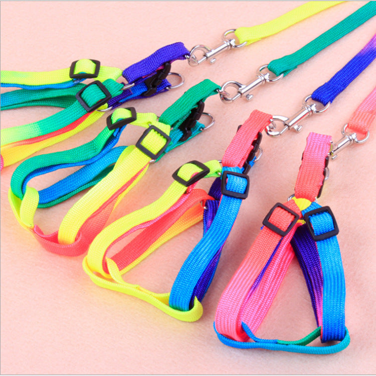 Colorful leashes for pets in assorted vibrant colors, close-up product view