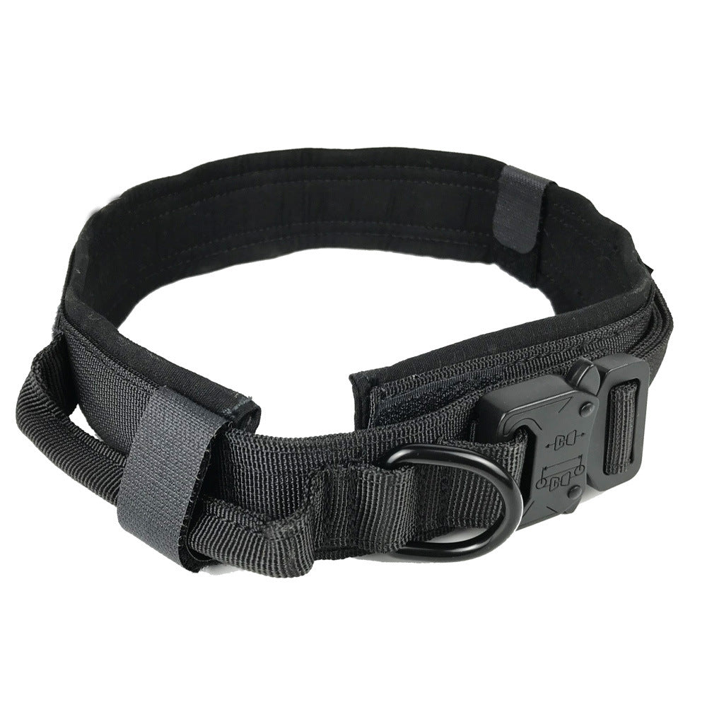 Dog collar in a simple design by My Store
