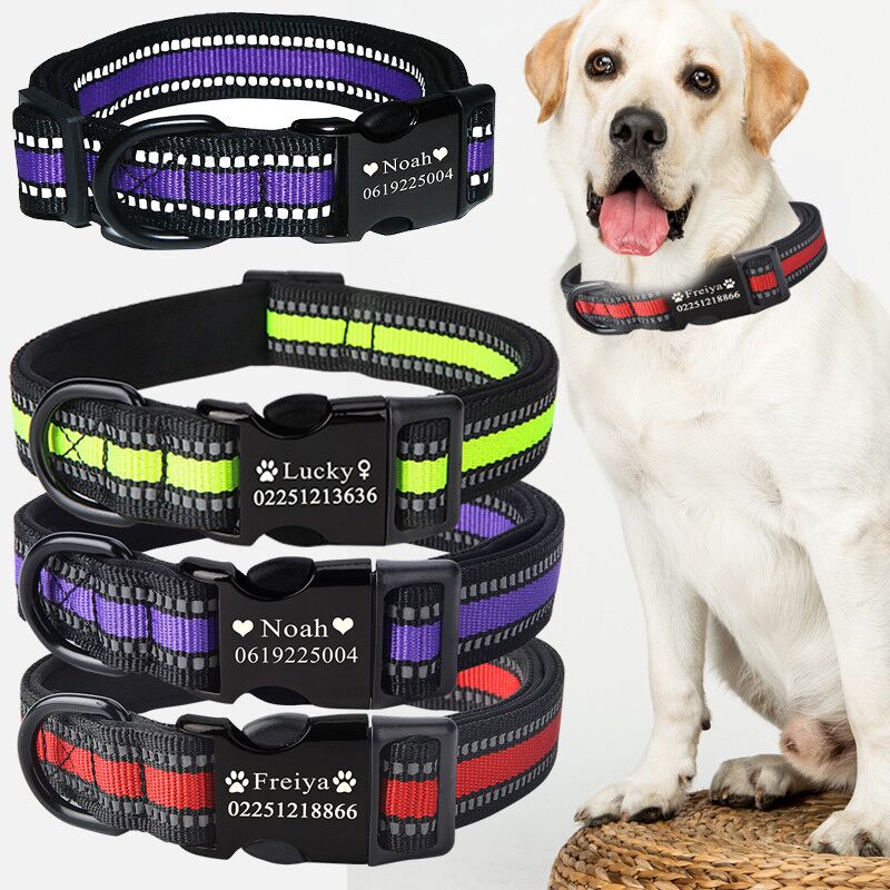 Custom dog collar, adjustable pet collar shown in close-up with personalized design.