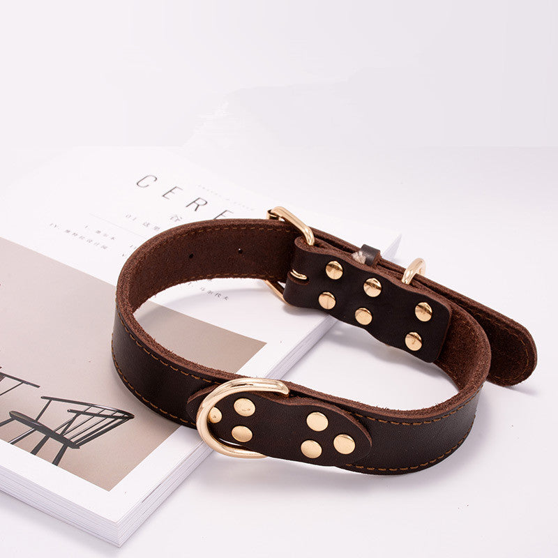 Dog collar by My Store in a classic design