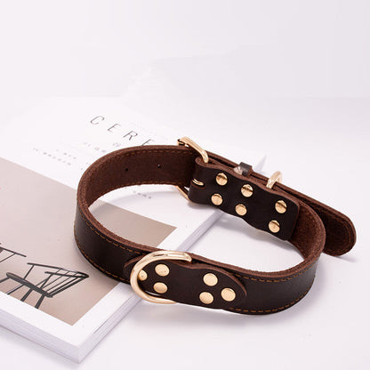 Dog collar by My Store in a classic design