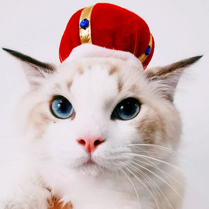 Funny pet dog cat costume warm hat photo prop headwear in a playful design