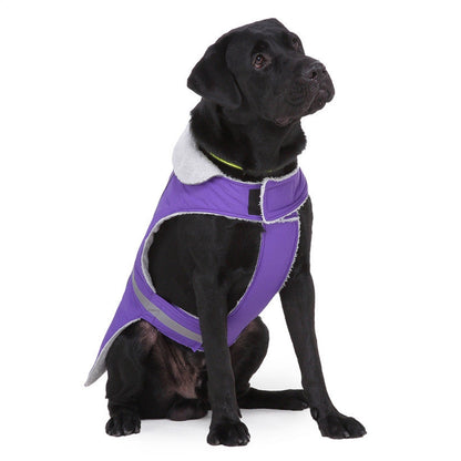 Reflective winter pet clothes for dogs, night safety coat close-up