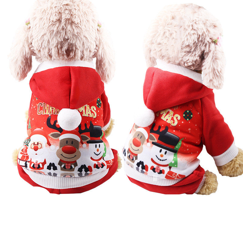 Pet clothes by My Store shown on a clean background