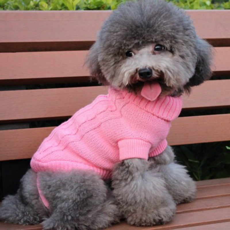 Dog sweater by My Store displayed for pets