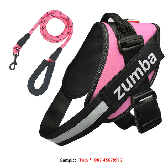 Personalized reflective breathable adjustable dog harness and leash set in Type 7 design