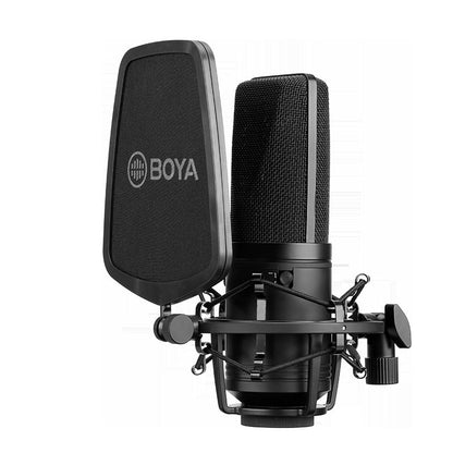 Large diaphragm condenser microphone for computer singing and recording, K Song style