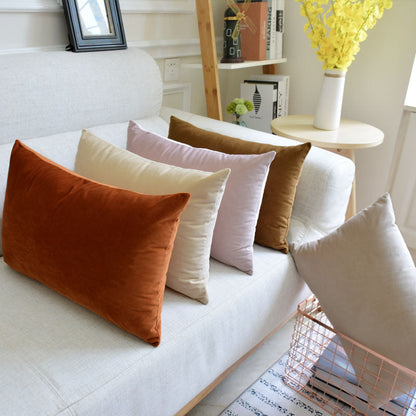 Velvet throw pillow for sofa in a soft, textured fabric close-up