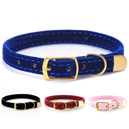 Pet supplies cat collar by My Store, adjustable design shown on a plain background