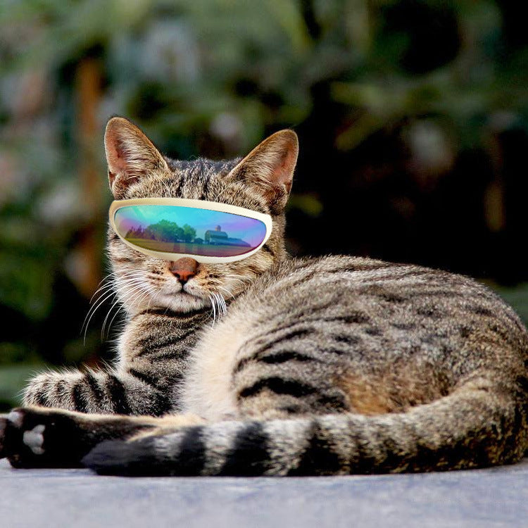 Dog sunscreen UV goggles for pet eye protection outdoors
