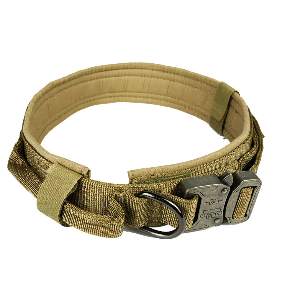 Dog collar by My Store in a close-up product view