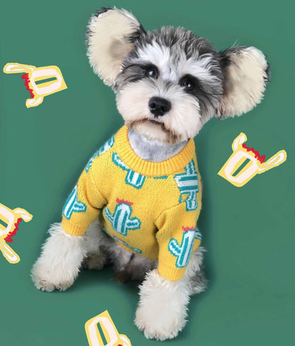 Pet cactus sweater by My Store with cactus print design and soft knit fabric