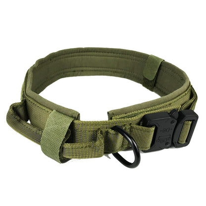 Dog collar by My Store, adjustable pet collar shown in close-up