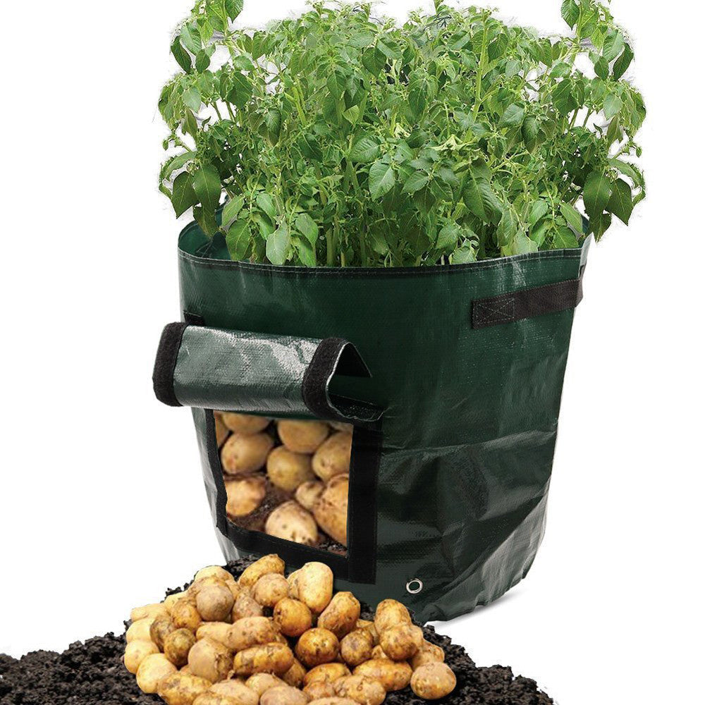 PE cloth garden planting bag in black, showing durable fabric container with reinforced handles