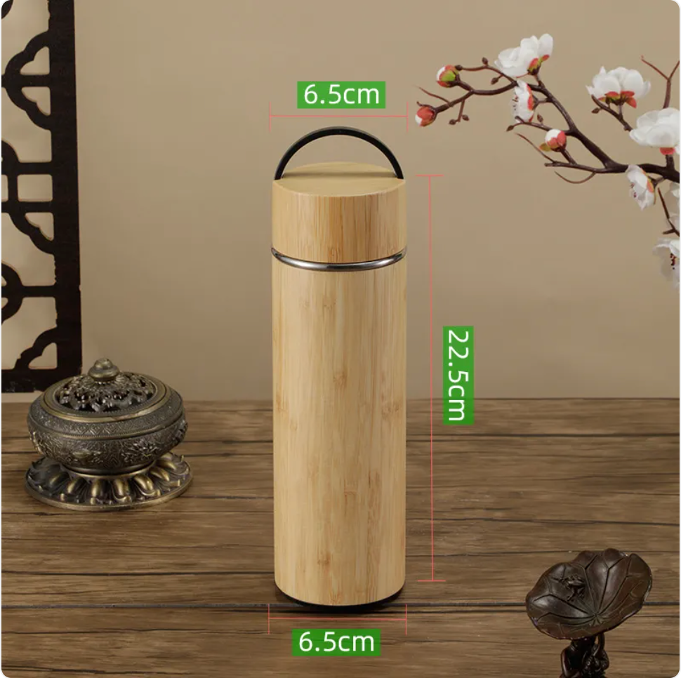 Stainless Steel Insulated Water Bottle