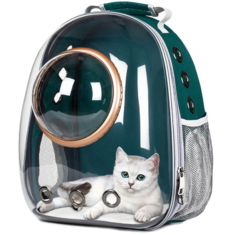 Transparent cat carrier backpack pet space bag with breathable design