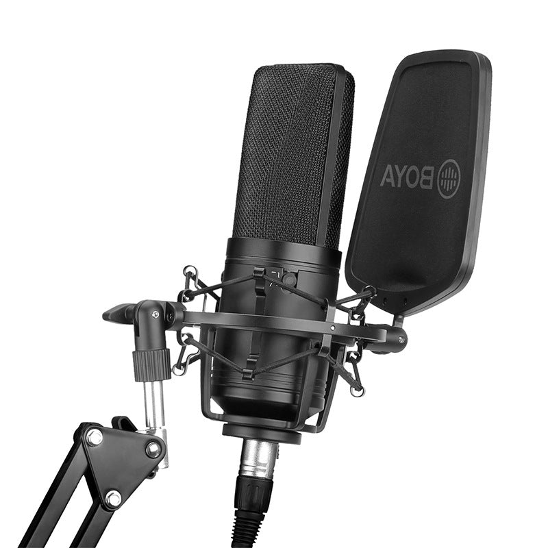 Large diaphragm condenser microphone for computer and K song recording setup