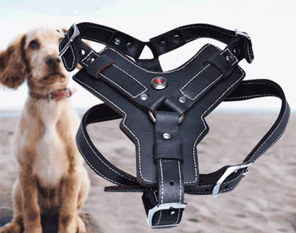 Genuine leather dog harness by My Store, adjustable design for comfortable pet walking and control