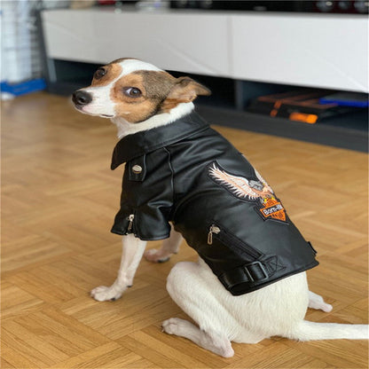 Small dog wearing embroidered eagle leather jacket sticker outfit