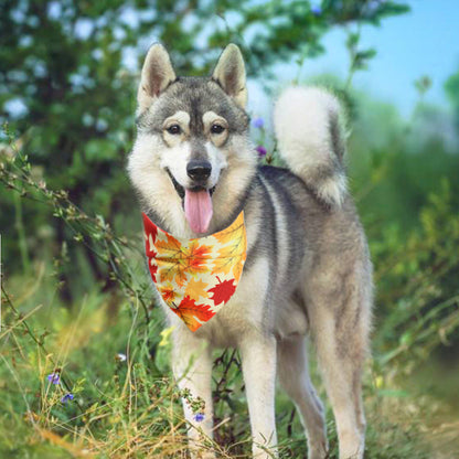 Turkey Thanksgiving pet saliva product by My Store
