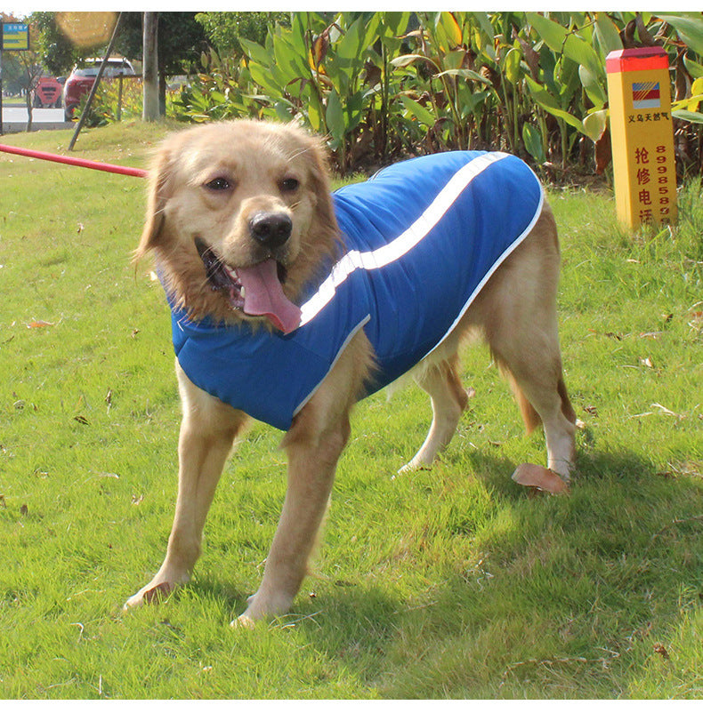 Medium-sized dog wearing a warm winter coat for large dogs, with padded design and full-body coverage