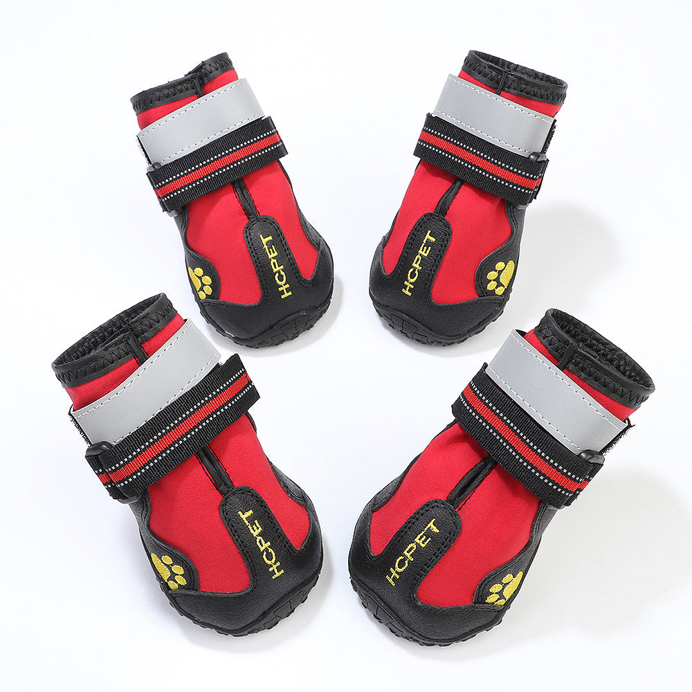 Pet dog wearing waterproof shoes for paws protection