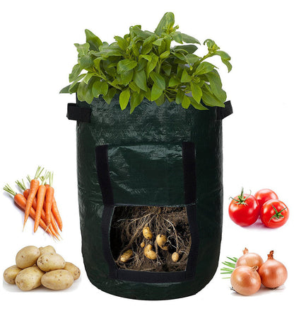 PE cloth garden planting bag for growing plants, black fabric container with sturdy handles