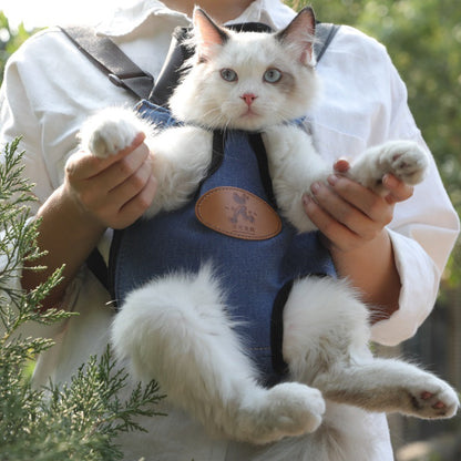 Portable cat backpack for spring outings, lightweight pet carrier with breathable mesh windows