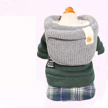 Small dog wearing an autumn and winter four-legged padded coat in a cozy outdoor setting