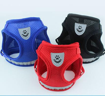 Dog harness and leash set by My Store, matching adjustable harness with attached lead