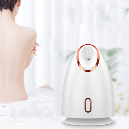 Nano thermal spray moisturizing face steamer in compact white handheld design