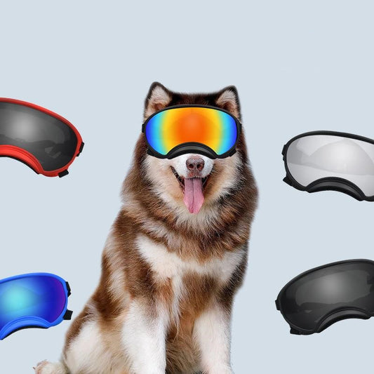 Fashionable ski sunglasses for large and medium-sized pet dogs, protective black dog goggles