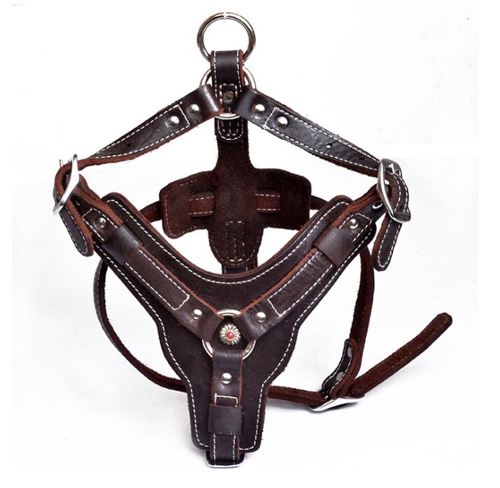 Genuine leather dog harness with adjustable straps and sturdy metal buckles