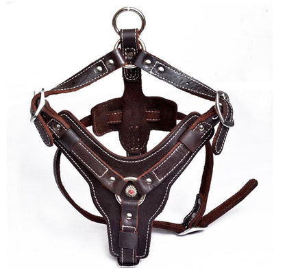 Genuine leather dog harness with adjustable straps and sturdy metal buckles