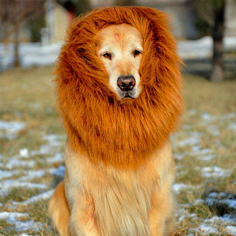 Lion mane wig for large dogs, full tan faux-fur headpiece with ears and face opening