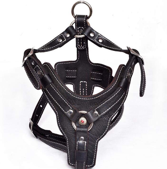 Genuine leather dog harness by My Store, adjustable chest and back straps visible