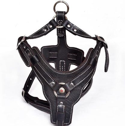 Genuine leather dog harness by My Store, adjustable chest and back straps visible