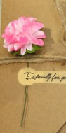Creative kraft dried flower greeting card with natural botanical design