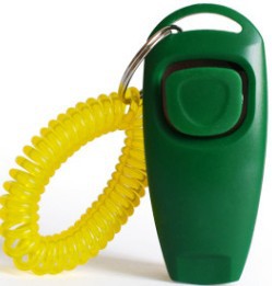 Multifunctional pet rattle whistle dog training device with compact handheld design