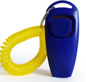 Multifunctional pet rattle whistle dog training device in compact handheld design