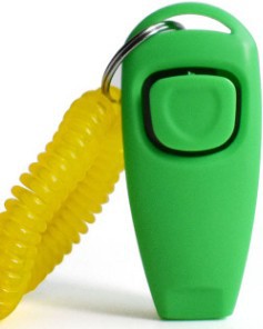 Multifunctional pet rattle whistle dog training device with compact handheld design