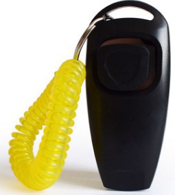 Multifunctional pet rattle whistle dog training device for obedience practice, close-up view