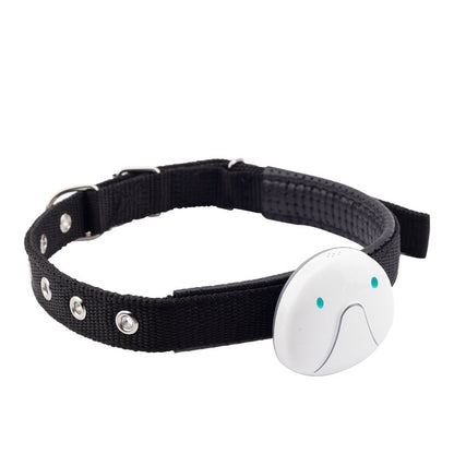 Waterproof mini pet locator tracker attached to a dog collar for smart anti-lost tracking