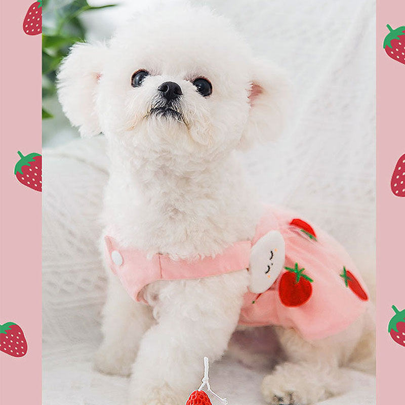 Strawberry Princess dress for dog, thin sweet pink pet dress with strawberry details