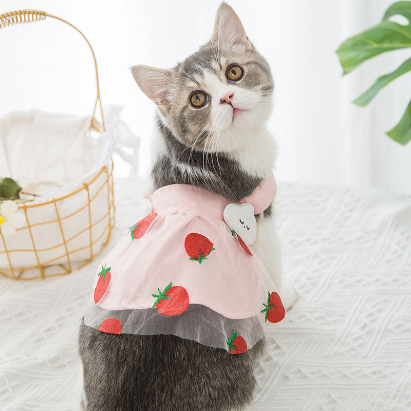 Strawberry princess dress for dog, thin sweet pink pet costume with playful details