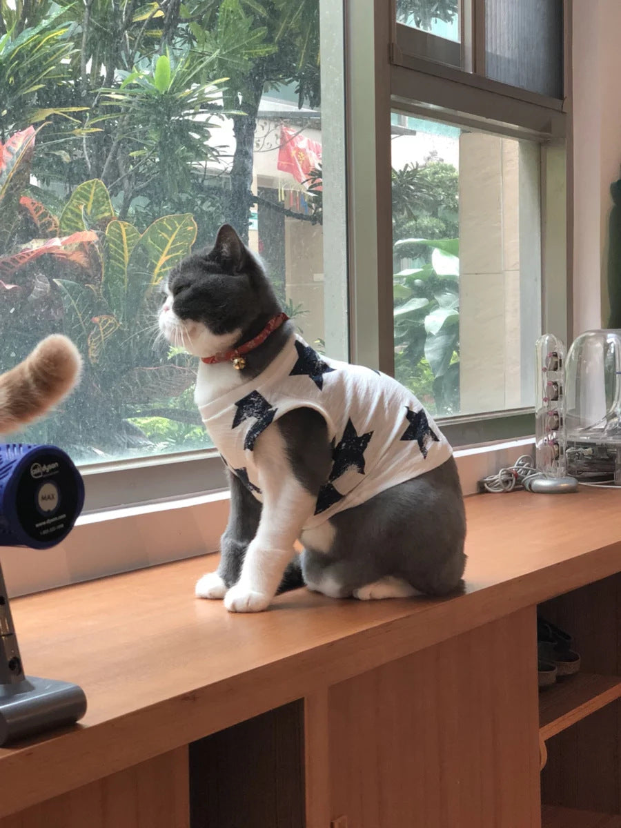 Pet clothes dog jacket for dogs, My Store brand, shown on a pet mannequin
