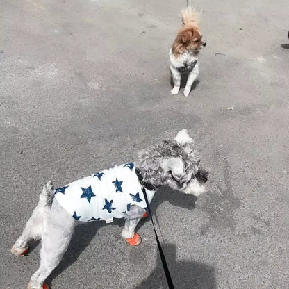 Pet dog clothes by My Store shown on a dog, featuring a comfortable everyday pet outfit