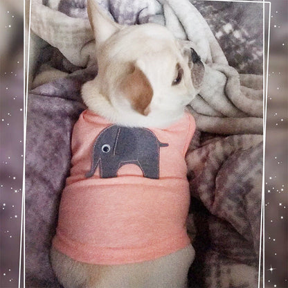 My Store pet dog clothes outfit displayed for small dogs
