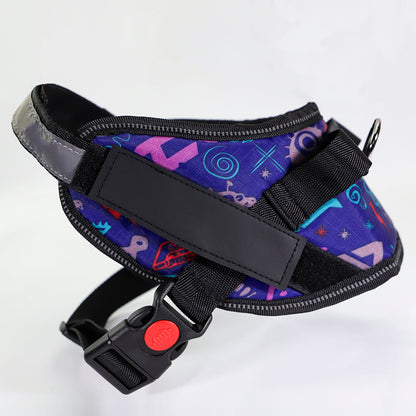 My Store Type 7 dog harness shown from the front with adjustable straps and secure buckles