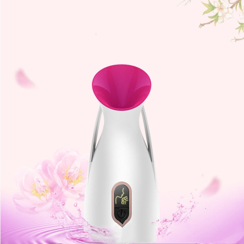 Household nano spray face steamer, compact handheld facial mist device in white